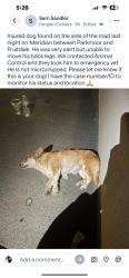 Found/Stray Unknown Dog last seen Parkmoor and Fruitdale , San Jose, CA 95126