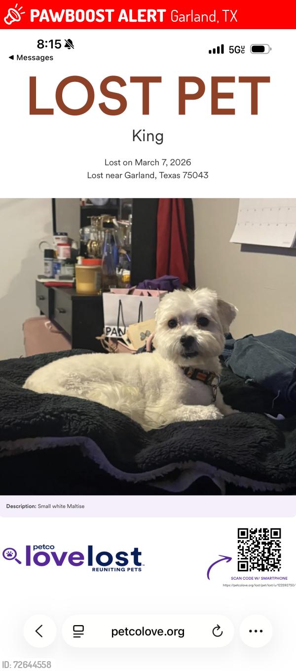 Lost Male Dog last seen The arts apmts off of Broadway commons , Garland, TX 75043