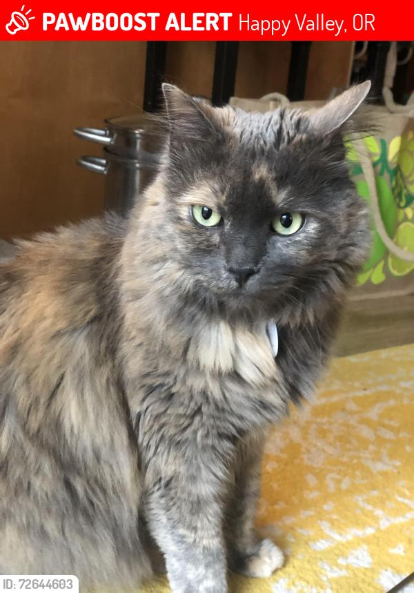 Lost Female Cat last seen SE 139th Ave & SE Alimaria Dr. Clackamas OR 97015, Happy Valley, OR 97015