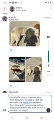 Lost Male Dog last seen Wm.csnnon@  Easton park , Austin, TX 78744