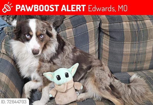 Lost Male Dog last seen Lake of the Ozarks, Edwards, MO 65236