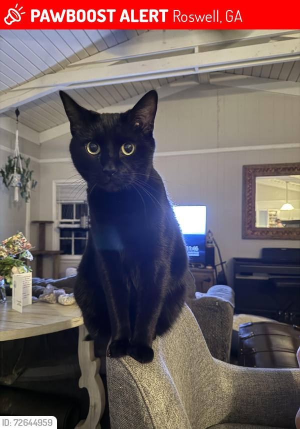 Lost Male Cat last seen Entrance of mountain park , Roswell, GA 30075
