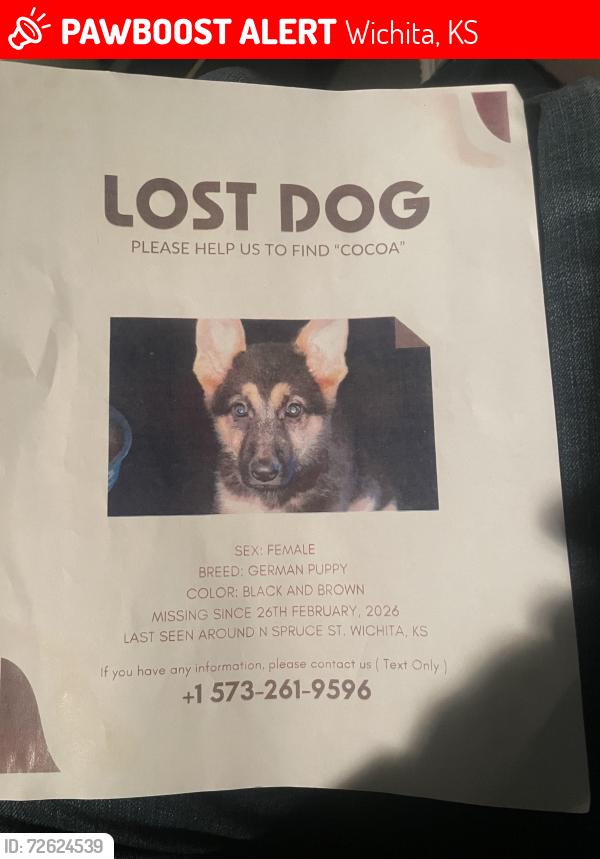 Lost Female Dog last seen Near N Spruce Ave , Wichita, KS 67214