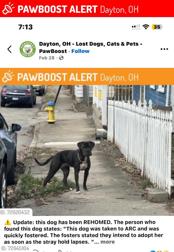 Lost Male Dog last seen Near cross st 45410, Dayton, OH 45410