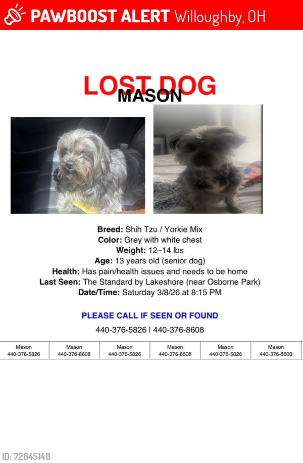 Lost Male Dog last seen Mentor Ave, Lost nation, Willoughby, OH 44094