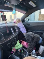 Lost Female Dog last seen Near cibola ct , Odessa, TX 79765