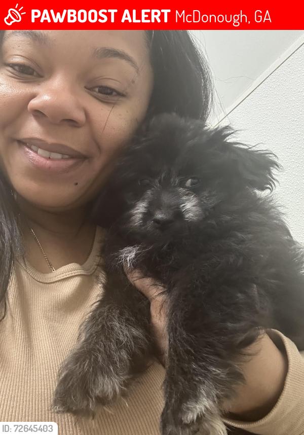 Lost Male Dog last seen Penrose park McDonough , McDonough, GA 30253
