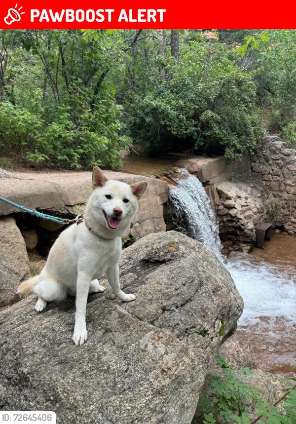 Lost Female Dog last seen Sky Sox Stadium, Colorado Springs, CO 80922