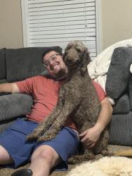 Lost Male Dog last seen belforest area - 54, Daphne, AL 36526