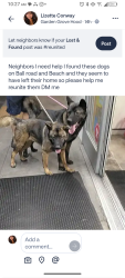Found/Stray Female Dog last seen Ball rd towards beach next to a church and grocery store, Anaheim, CA 92804