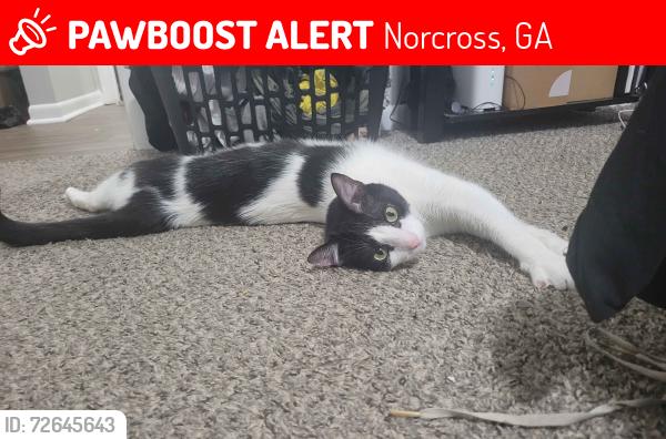 Lost Male Cat last seen Peachtree Corners/Norcross in: Fields at Peachtree Corners Complex, Norcross, GA 30092