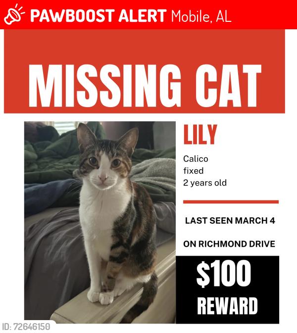 Lost Female Cat last seen Richmond dr. And Saddlebrook drive, Mobile, AL 36695
