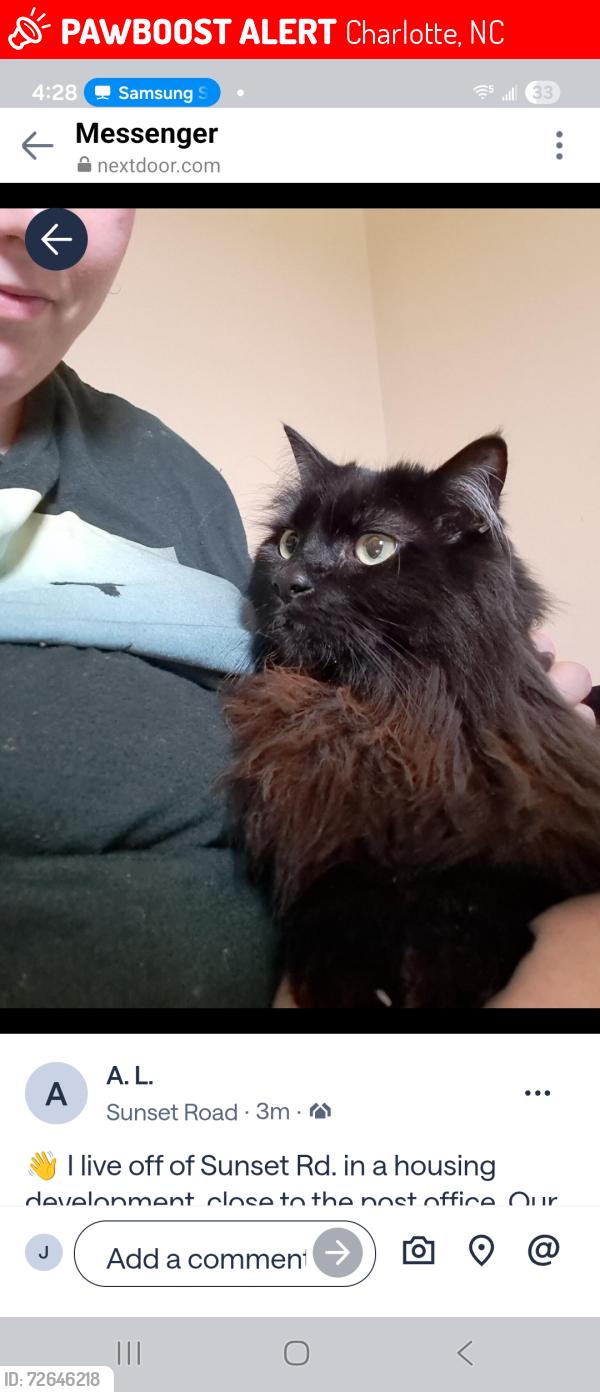 Lost Male Cat last seen Near Summer Coach Dr, Charlotte, NC 28216
