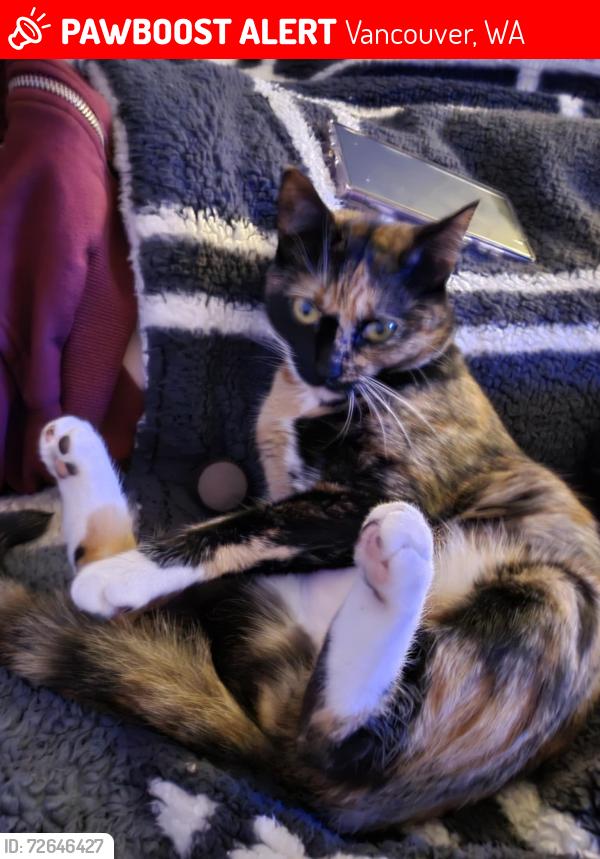 Lost Female Cat last seen Olympia drive, Vancouver, WA 98683
