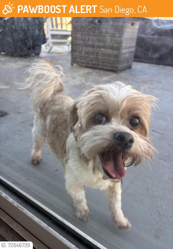 Found/Stray Male Dog last seen Arbodar, San Diego, CA 92154