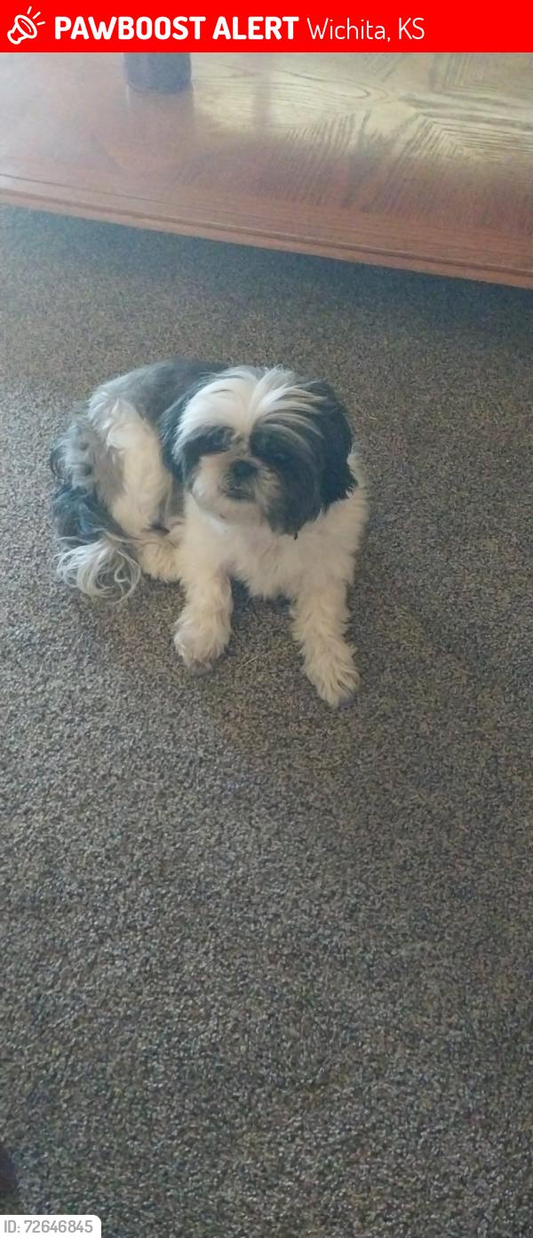 Lost Female Dog last seen Near w. MacArthur #924 , Wichita, KS 67217
