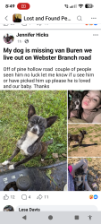 Lost Male Dog last seen District 5 fire house , Crawford County, AR 72956