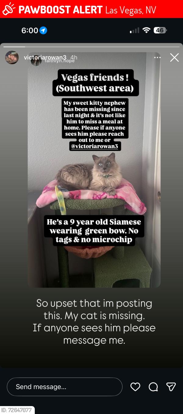 Lost Male Cat last seen Warm Springs and Fort Apache, Las Vegas, NV 89148
