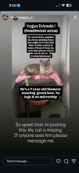 Lost Male Cat last seen Warm Springs and Fort Apache, Las Vegas, NV 89148
