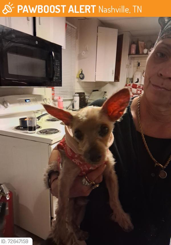 Found/Stray Male Dog last seen May drive&Dupont , Nashville, TN 37115