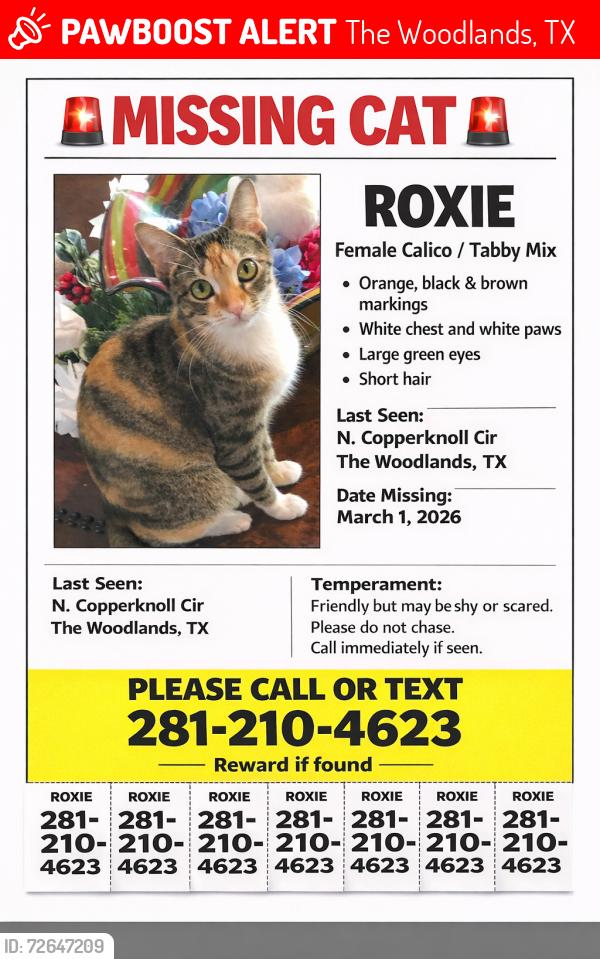 Lost Female Cat last seen Lake Woodlands, The Woodlands, TX 77381