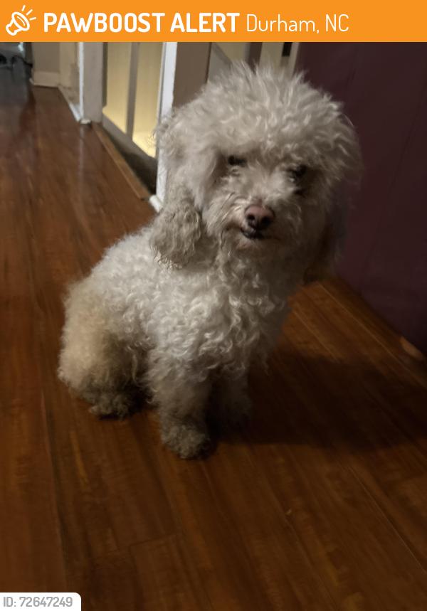 Found/Stray Male Dog last seen saw walking around , Durham, NC 27704