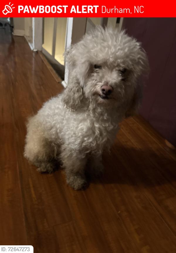 Lost Male Dog last seen strebor street , Durham, NC 27705
