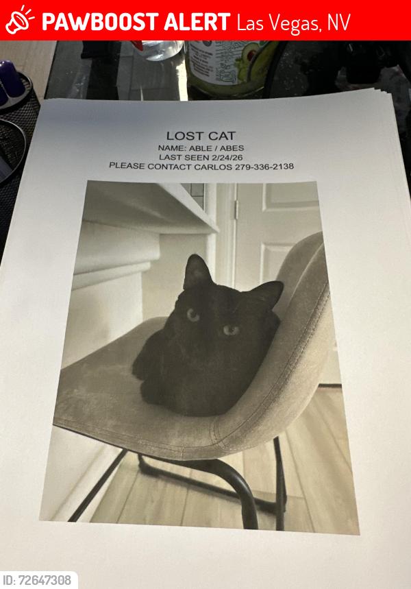 Lost Male Cat last seen Evoq apmt s , Las Vegas, NV 89102