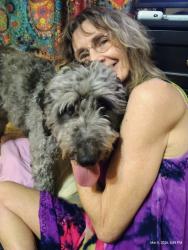 Lost Female Dog last seen Macleod Dr. and Lovitt , Memphis, TN 38119