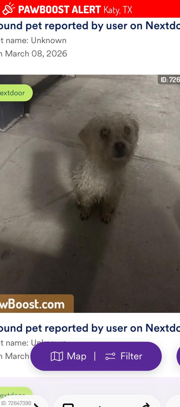 Lost Female Dog last seen Near Cenzontle dr, Katy, TX 77493