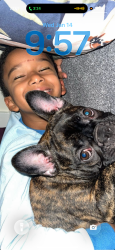 Lost Female Dog last seen Lake merritt, Oakland, CA 94706