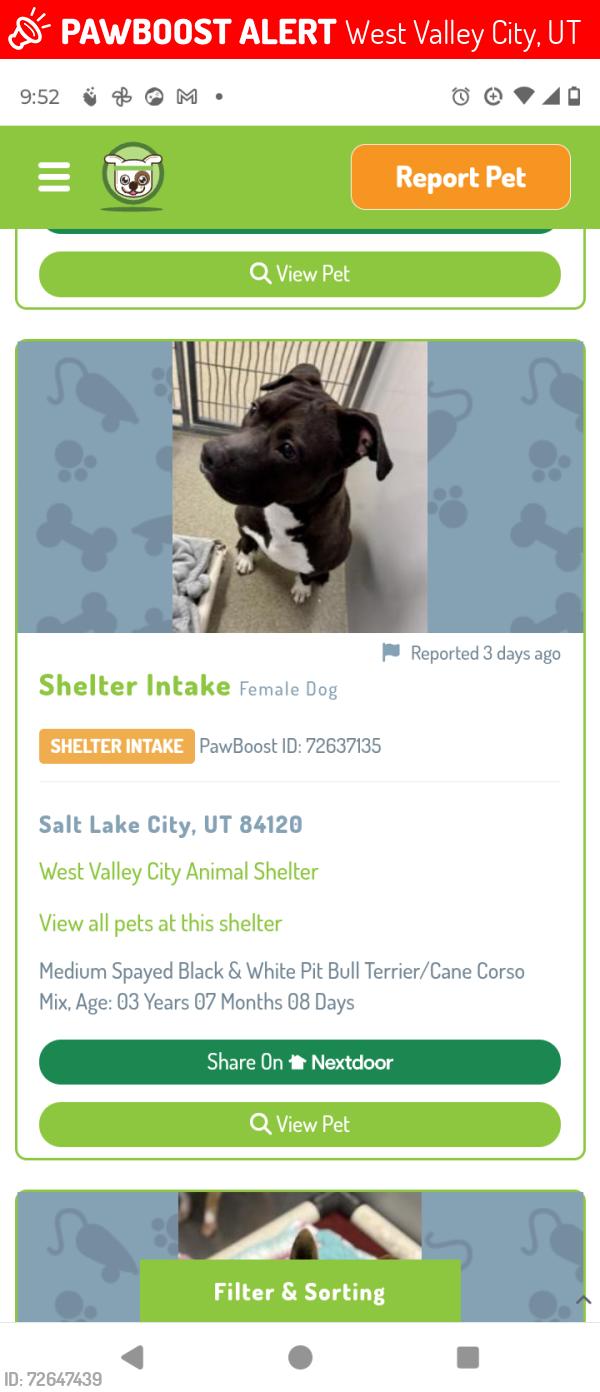 Lost Female Dog last seen Near W. Clark View Cove WVC, Utah 84120, West Valley City, UT 84120