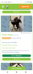 Lost Female Dog last seen Near W. Clark View Cove WVC, Utah 84120, West Valley City, UT 84120