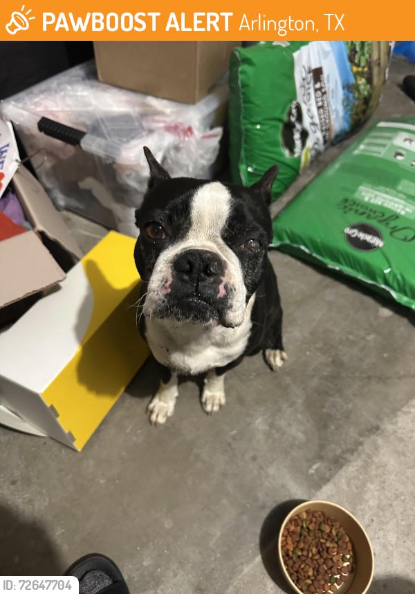 Found/Stray Male Dog last seen Cohoke dr, Arlington, TX 76018