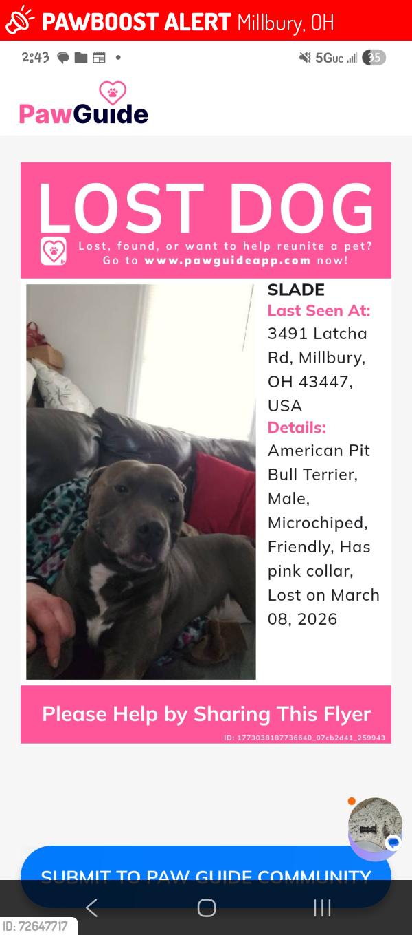 Lost Male Dog last seen Loves truck stop, Millbury, OH 43447