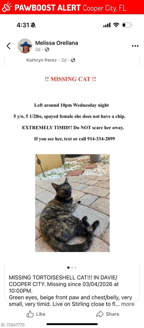 Lost Female Cat last seen By a publix, Cooper City, FL 33330