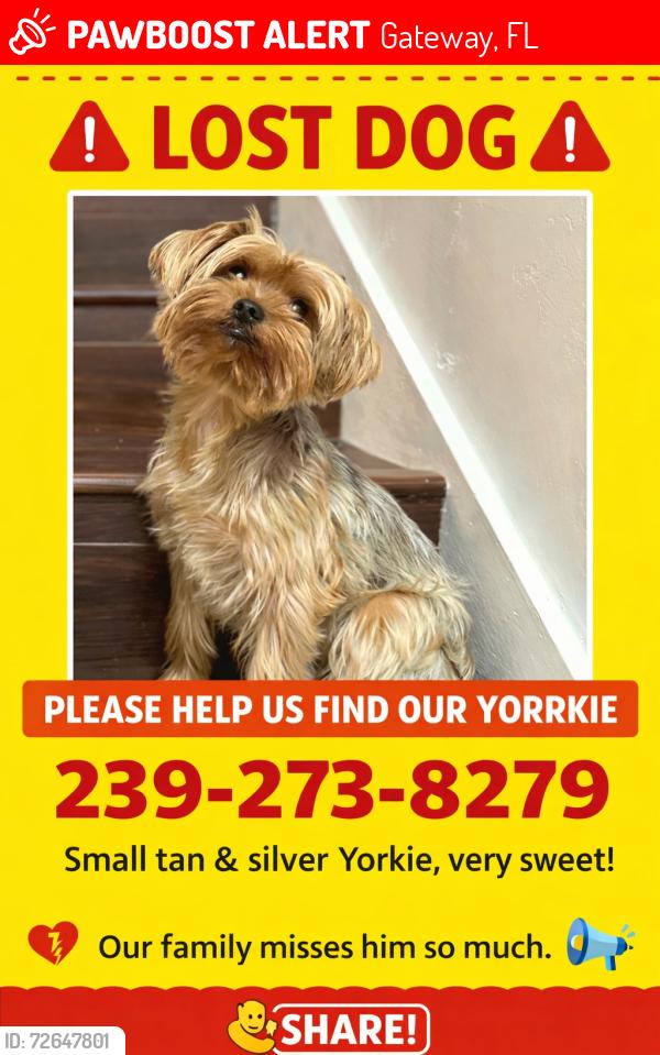 Lost Male Dog last seen Silverlakes Fort Myers , Gateway, FL 33913