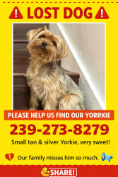 Lost Male Dog last seen Silverlakes Fort Myers , Gateway, FL 33913