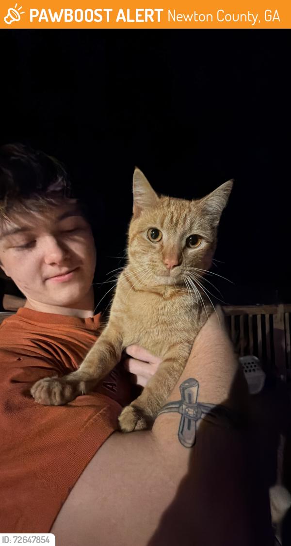Found/Stray Male Cat last seen Highway 162, Newton County, GA 30016