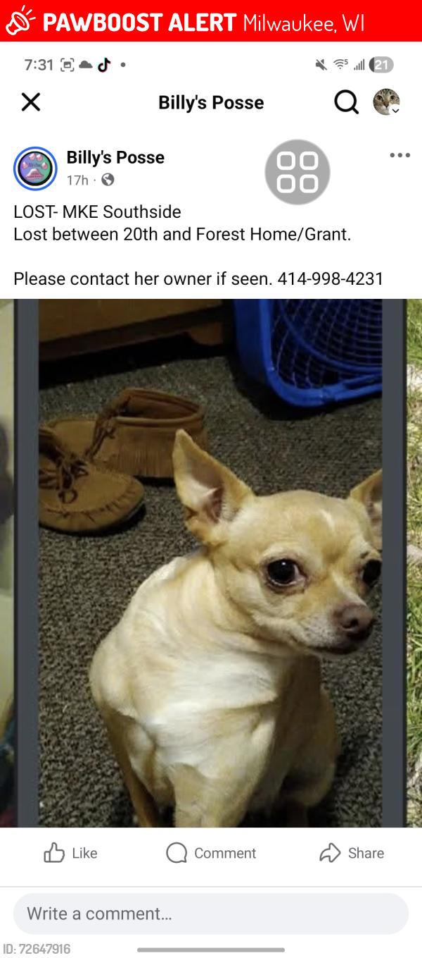 Lost Female Dog last seen Near the neighborhood, Milwaukee, WI 53215