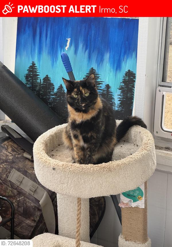 Lost Female Cat last seen Near Marina Rd, Irmo, SC 29063