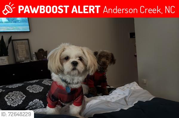 Lost Male Dog last seen Valley oak dr. , Anderson Creek, NC 28323