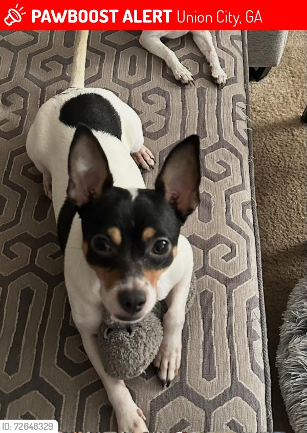 Lost Male Dog last seen flt shoals in the complex, Union City, GA 30291