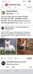 Lost Female Dog last seen Vanderberg, Eakin, Columbus, OH 43204