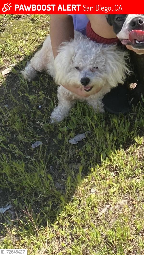 Lost Male Dog last seen Near adirondaxk row unit 3, San Diego, CA 92139