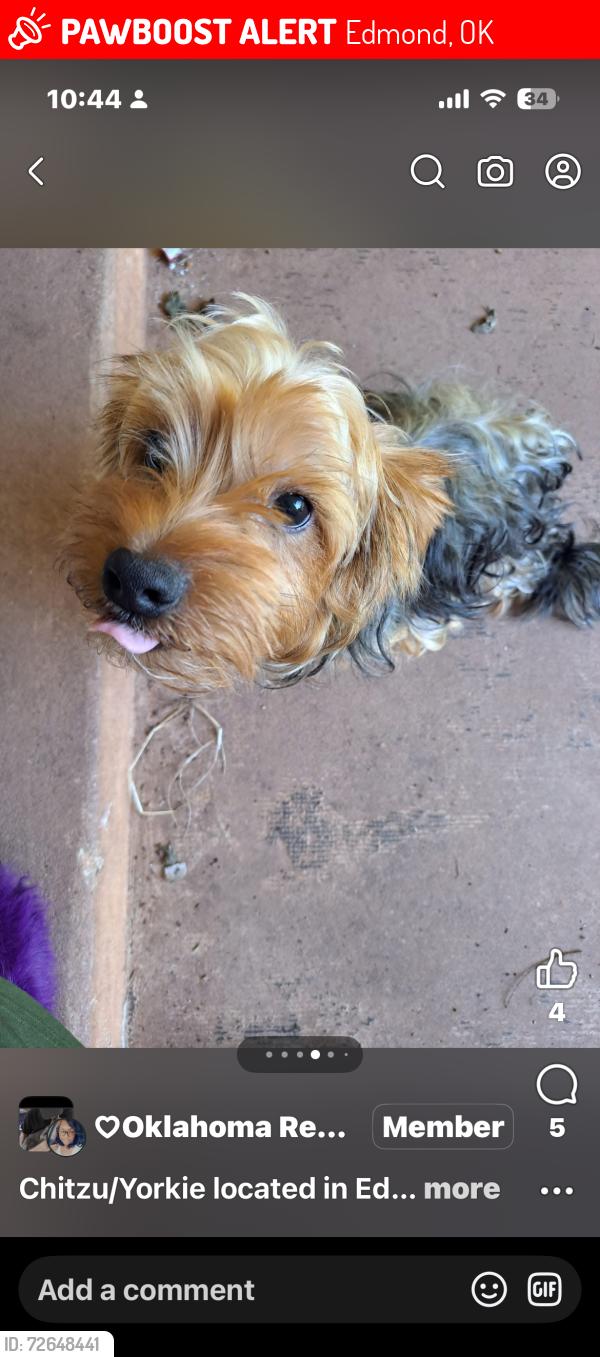 Lost Male Dog last seen 150th and Western , Edmond, OK 73013