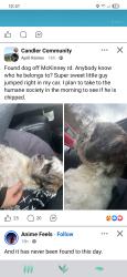 Found/Stray Male Dog last seen Unknown , Asheville, NC 28806