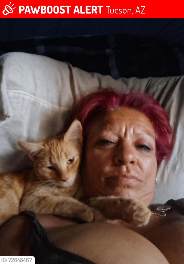 Lost Male Cat last seen Wetmore & La Cholla , Tucson, AZ 85705