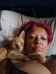 Lost Male Cat last seen Wetmore & La Cholla , Tucson, AZ 85705