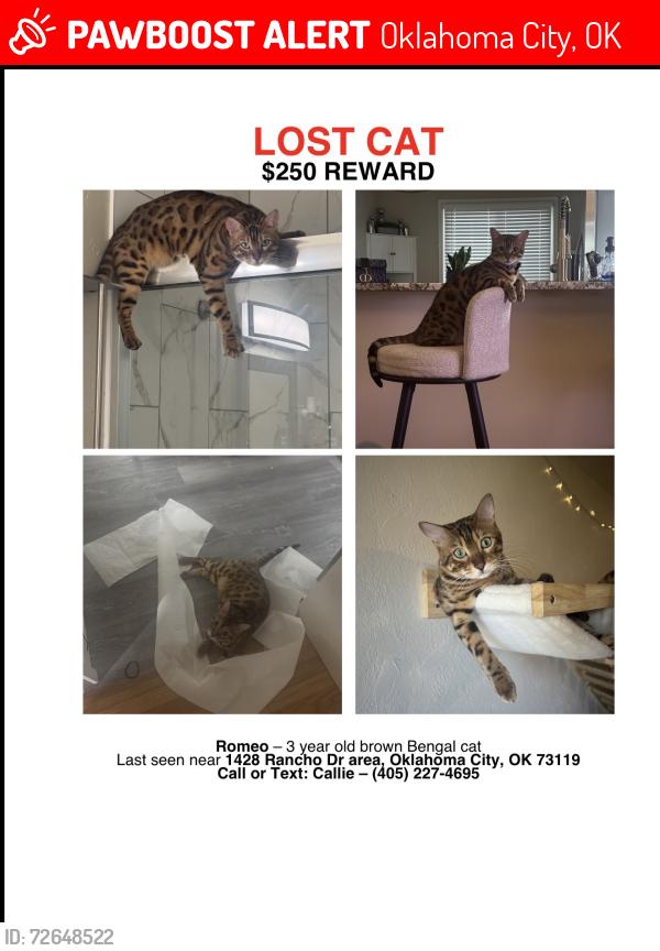 Lost Male Cat last seen SW 46th and Blackwelder, Oklahoma City, OK 73119